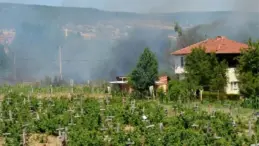 Kütahya’da Orman Yangını Kontrol Altına Alındı